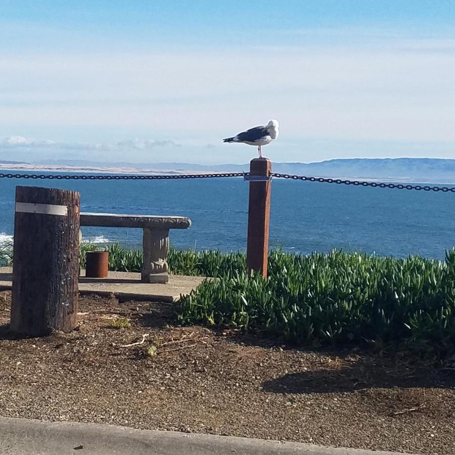Shell Beach Inn Pismo Beach Dış mekan fotoğraf